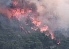 Hutan terbakar di Eropah berlanjutan sehingga November