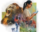 Orang Utan di kota malaikat