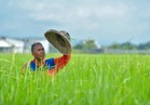 Pesawah rugi RM1.3 juta sehari kerana baja lewat