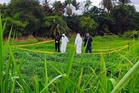 Rangka manusia reput dalam guni ditemukan di kebun