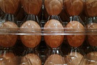 Telur tercemar di AS