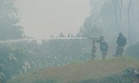 ‘Spot’ api kebakaran hutan di Shah Alam dipadam