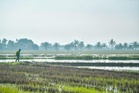 MADA pergiat pembekalan baja sebatian tambahan