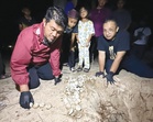 183 anak penyu ditemui di Pantai Pachakan selepas tiga dekad