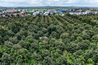 Durian boleh jadi anda kaya – Pemilik Ladang