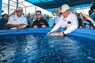 Persiapan MAHA 2026 capai 80 peratus