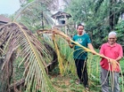 Larang anak main luar rumah risau terserempak gajah