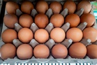 Telur diimport punca wabak keracunan makanan