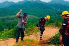 Pokok sawit ditanam dalam hutan simpan dimusnahkan