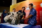 Tengkorak gajah Asia jadi koleksi baharu Muzium Kedah