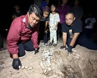 Kelantan kembali ‘disinggahi’ penyu Agar selepas tiga dekad