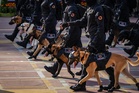 K9 lengkap berkasut dan berkaca mata di Putrajaya