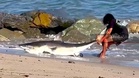 Pemancing tarik ekor ikan jerung ke dalam laut