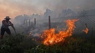 Algeria mahu hukum mati individu bakar hutan