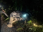 Gajah gemparkan penduduk Manirditangkap