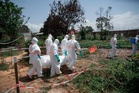 Ebola ragut satu nyawa setiap 30 minit