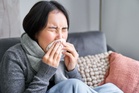 Mengapa badan terasa sakit ketika diserang influenza?