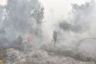 Lesen lima syarikat dibatal kerana kebakaran hutan di Kalimantan