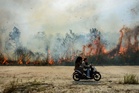 Kebakaran 400 hektar hutan ancam Nusantara