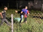 Empat kanak-kanak lemas cuba ambil bola
