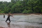 Ikan liar perlu dipulihara