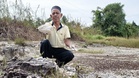 Debu gunung berapi Danau Toba di Kg. Padang Nyior