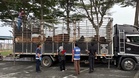Cubaan seludup gagal, Veterinar rampas 15 ekor lembu hidup