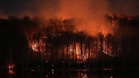 Hampir 300 hektar kawasan hutan terbakar di Colombia