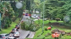 Pokok tumbang di Jalan Istana, banjir kilat di beberapa kawasan