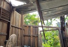 Ibu enam anak rayu bantuan baiki bumbung rumah rosak dihempap pokok