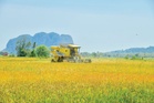 Pesawah sambut baik, tapi bimbang bayaran IPP lewat