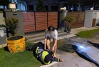 Ibu, anak halang penguat kuasa tangkap anjing liar ditahan
