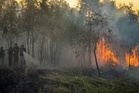 Tanggungjawab bersama jaga hutan