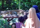 Kasih kepada alam, haiwan bermula dari kecil