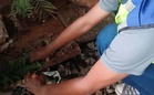 Kabel semboyan dipotong punca operasi tren Padang Jawa-Batu Tiga terjejas