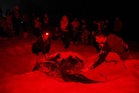 48 biji lagi telur Raja Penyu diselamatkan di Terengganu