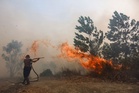 Tiga syarikat pelaburan asing disyaki terlibat kebakaran hutan di Indonesia