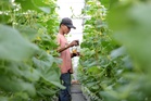 UPM memacu masa depan agromakanan bersama industri