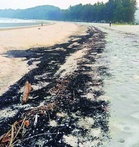 Pencemaran arang batu: Kerajaan ambil tindakan tegas