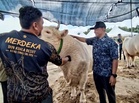 Pusat pemindahan khas ikan, elak kerugian banjir