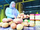 Buah binjai lubuk rezeki peniaga