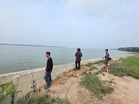 Buaya tiga meter dikesan di Sungai Perak