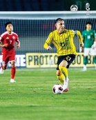 Harimau Malaya hilang khidmat Cools
