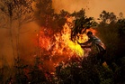 Empat syarikat asing disyaki dalangi kebakaran hutan Indonesia