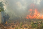 Lebih 3,000 hektar hutan masih terbakar di Kalimantan
