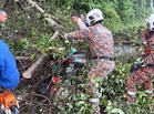 Lelaki maut dihempap pokok semasa tunggang motosikal
