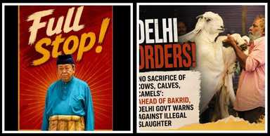 OPINION | Pig Farming in Selangor and Cow Slaughter in Delhi — Identity Problems Cannot Be Solved With Logic