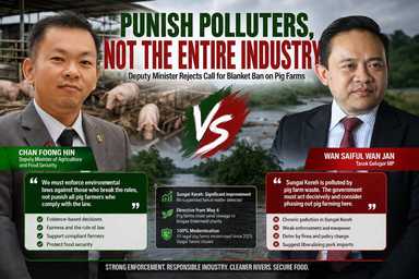 OPINION | 'Punish Polluters, Not the Entire Industry': Deputy Minister Rejects Call for Blanket Ban on Pig Farms
