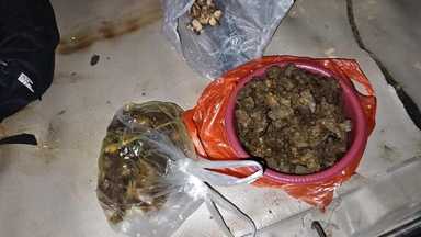 Cooked to Death: How a Village Delicacy Symbolizes Our Institutional Failure to Save Endangered Species