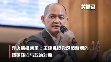 【关键词】弃火箭择凯里：王建民退党风波背后的精英转向与政治对赌